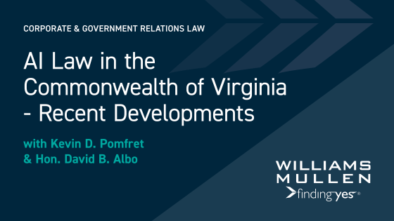 AI Law in the Commonwealth of Virginia - Recent Developments Image
