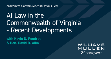 AI Law in the Commonwealth of Virginia - Recent Developments Image