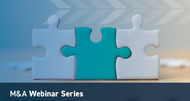 M&A Webinar Video Series Image