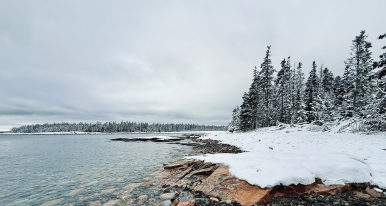 Environmental Notes - January 2026