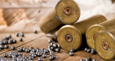 Firearms Industry Photo | Williams Mullen Services