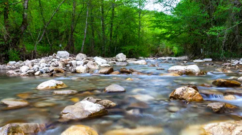 Environment & Natural Resources