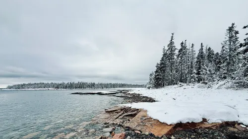 Environmental Notes - January 2026